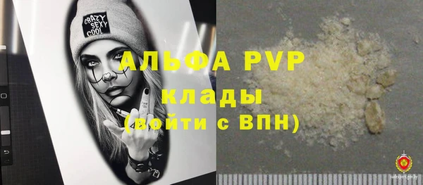 гашик Алексеевка