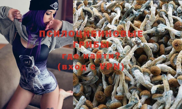 гашик Алексеевка