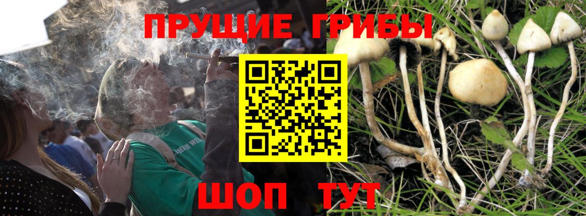 Галлюциногенные грибы Magic Shrooms Знаменск