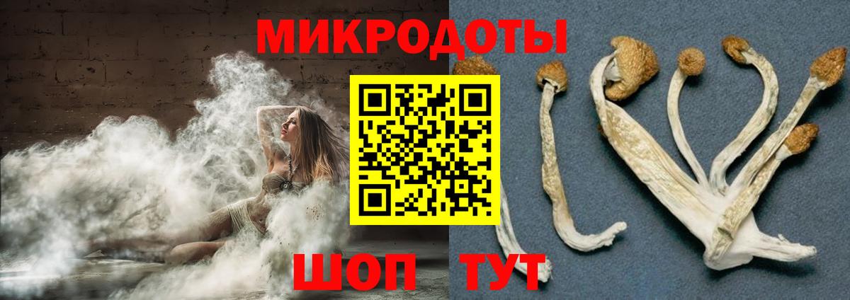 Галлюциногенные грибы Cubensis  Псилоцибиновые грибы MAGIC MUSHROOMS  как найти   Знаменск  Вход с VPN 